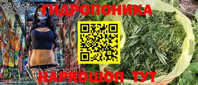 прущие крисы Камышлов