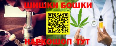 прущие крисы Камышлов