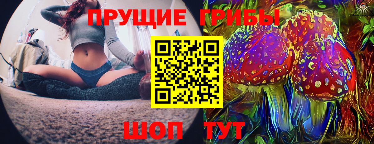 Галлюциногенные грибы Psilocybe Буйнакск