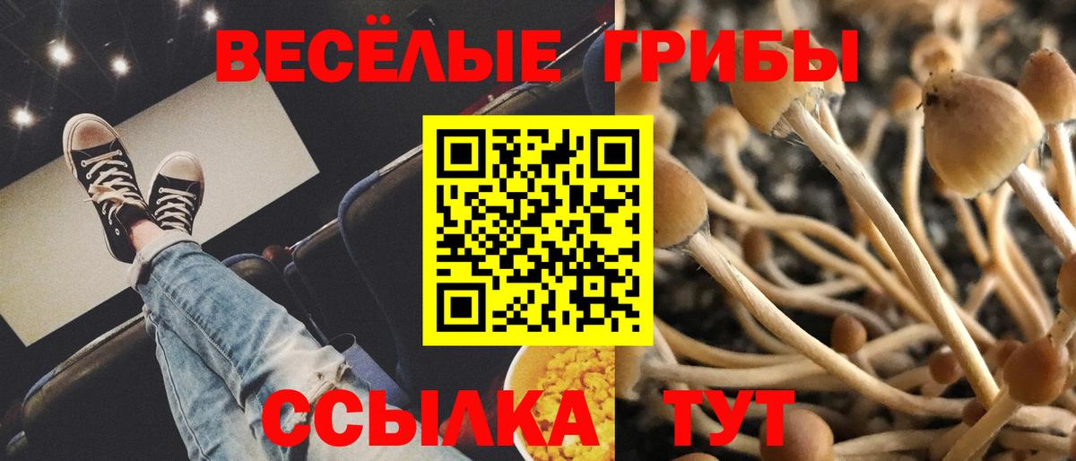 Буйнакск  Галлюциногенные грибы мухоморы  Вход с VPN 